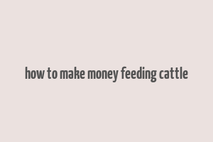 how to make money feeding cattle