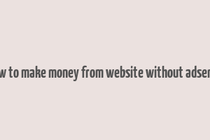 how to make money from website without adsense