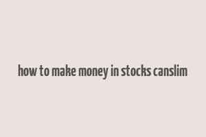 how to make money in stocks canslim