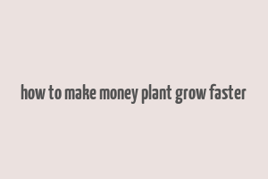 how to make money plant grow faster