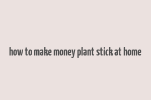 how to make money plant stick at home