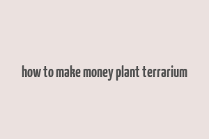 how to make money plant terrarium