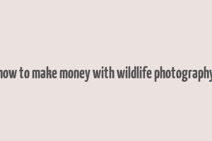 how to make money with wildlife photography