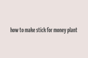 how to make stick for money plant