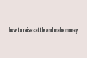 how to raise cattle and make money