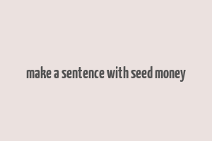 make a sentence with seed money