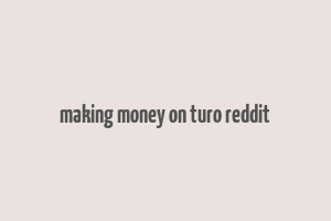 making money on turo reddit