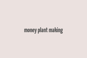 money plant making