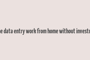 online data entry work from home without investment