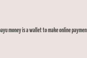 payu money is a wallet to make online payment