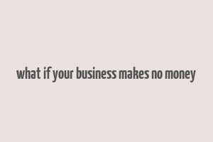 what if your business makes no money