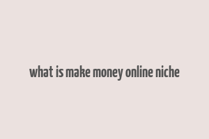 what is make money online niche