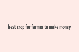 best crop for farmer to make money