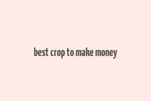 best crop to make money