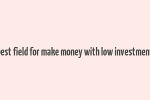 best field for make money with low investment