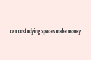 can costudying spaces make money