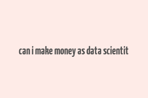 can i make money as data scientit