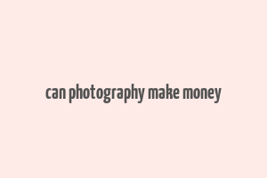 can photography make money