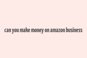 can you make money on amazon business