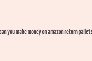 can you make money on amazon return pallets