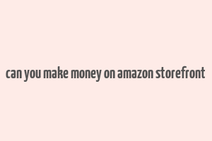 can you make money on amazon storefront