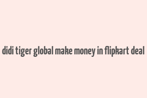 didi tiger global make money in flipkart deal