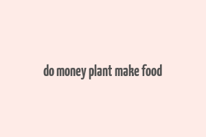 do money plant make food