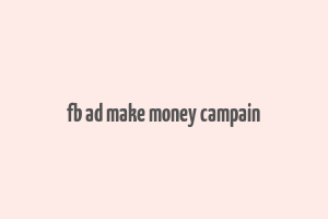 fb ad make money campain