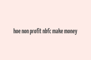 hoe non profit nbfc make money