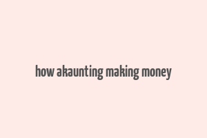 how akaunting making money