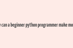 how can a beginner python programmer make money