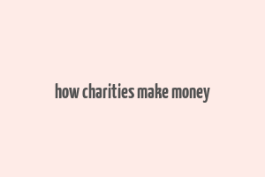 how charities make money