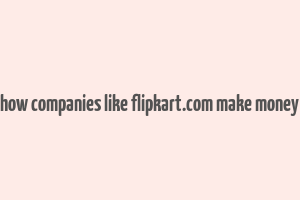 how companies like flipkart.com make money