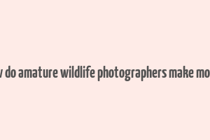 how do amature wildlife photographers make money