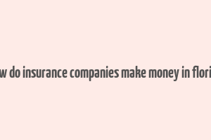 how do insurance companies make money in florida