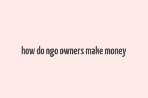 how do ngo owners make money