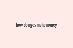 how do ngos make money