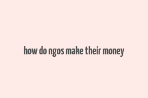 how do ngos make their money