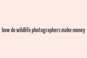 how do wildlife photographers make money