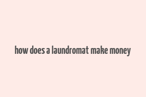 how does a laundromat make money