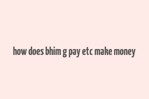 how does bhim g pay etc make money