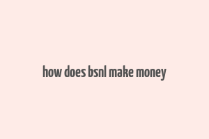 how does bsnl make money