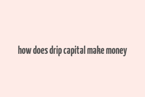 how does drip capital make money