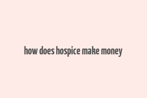 how does hospice make money