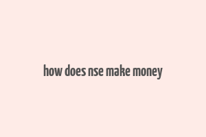 how does nse make money