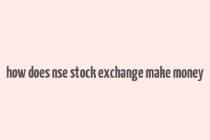 how does nse stock exchange make money