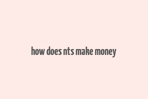 how does nts make money