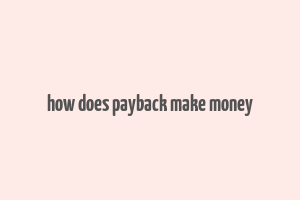 how does payback make money