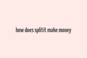 how does splitit make money