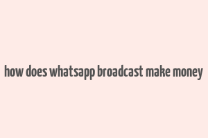 how does whatsapp broadcast make money